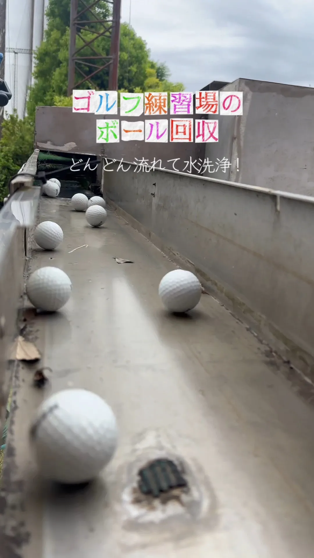 ゴルフボールは…水を流して回収してる⁉